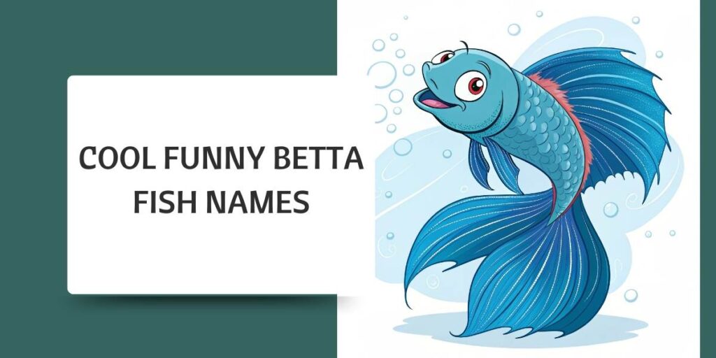 Cool Funny Betta Fish Names