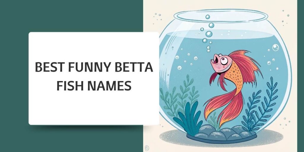 Best Funny Betta Fish Names