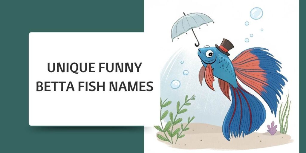 Unique Funny Betta Fish Names