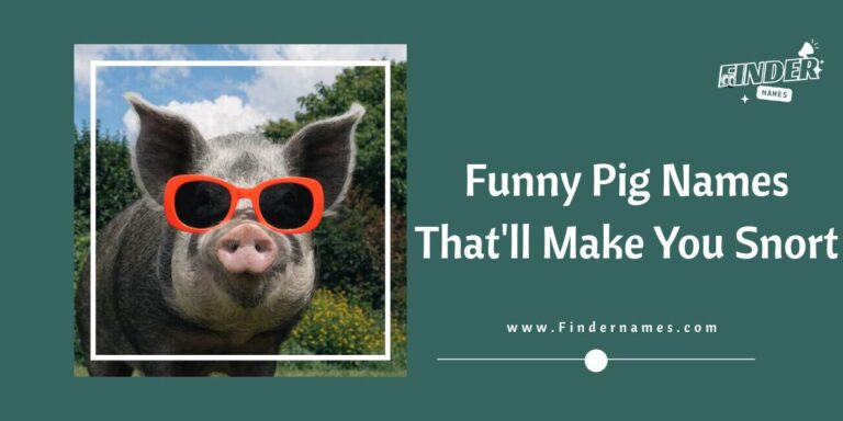 Funny Pig Names That'll Make You Snort