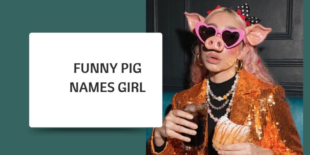 Funny Pig Names Girl