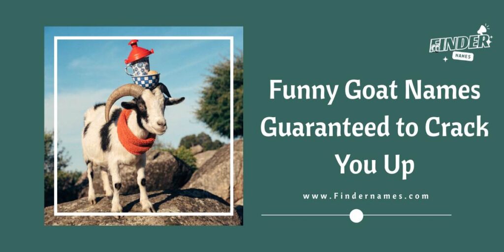 Funny Goat Names Guaranteed to Crack You Up