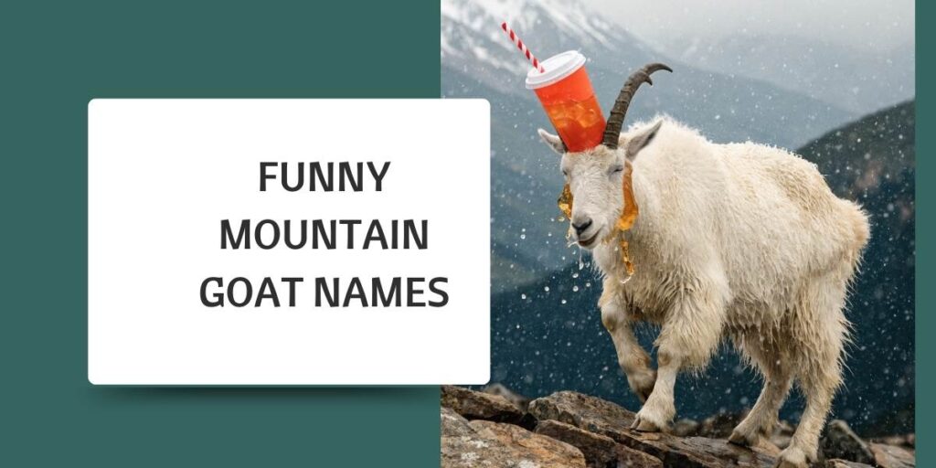 Funny Mountain Goat Names
