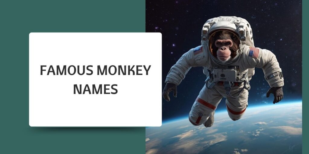 Famous Monkey Names