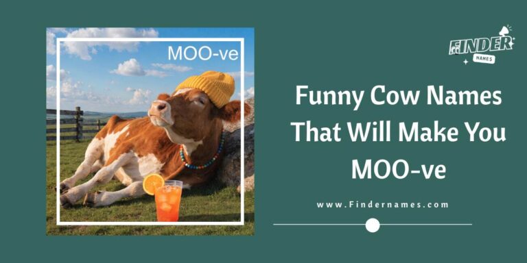 Funny Cow Names That Will Make You MOO-ve