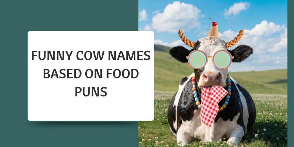 Funny Cow Names Based on Food Puns