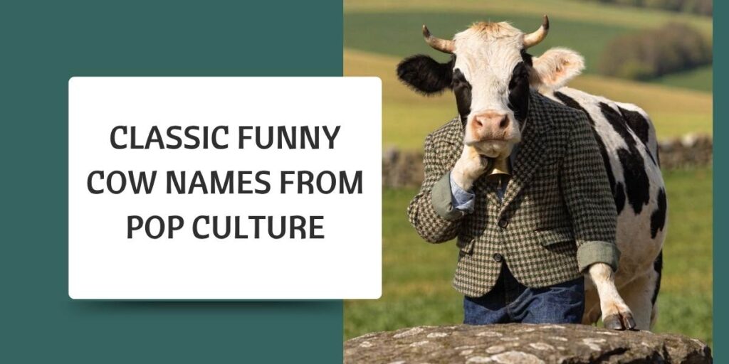 Classic Funny Cow Names from Pop Culture