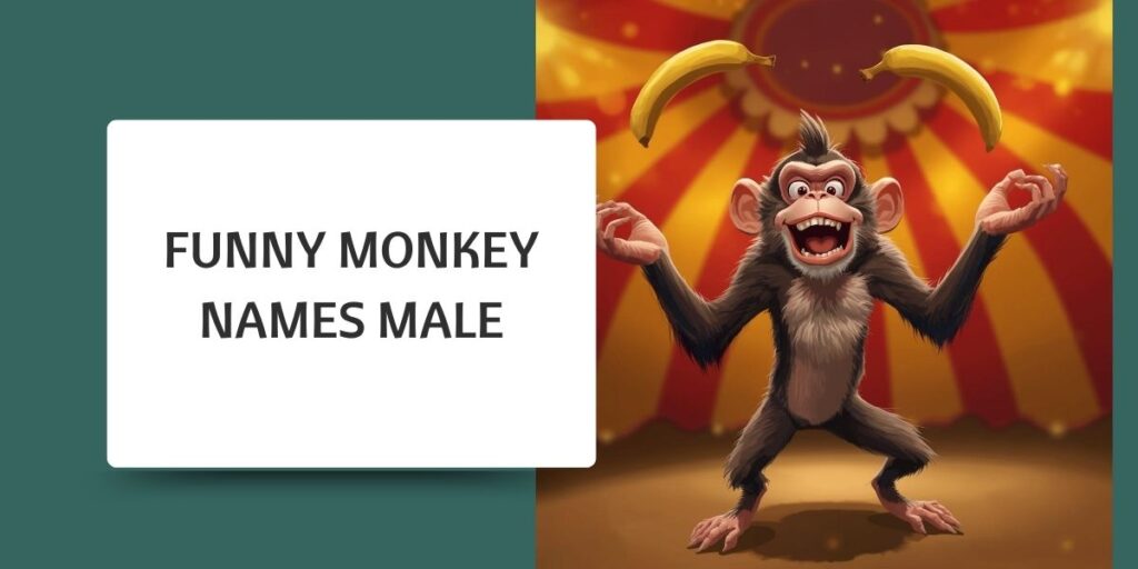 Funny Monkey Names Male