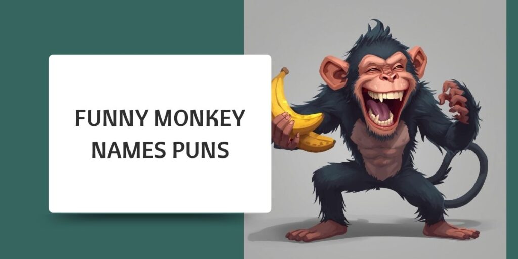Funny Monkey Names Puns
