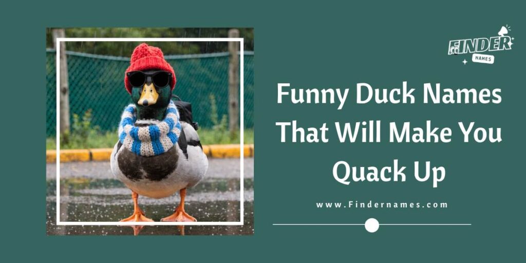 Funny Duck Names That Will Make You Quack Up