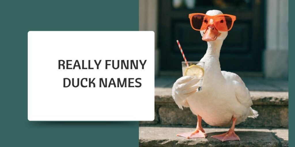 Really Funny Duck Names