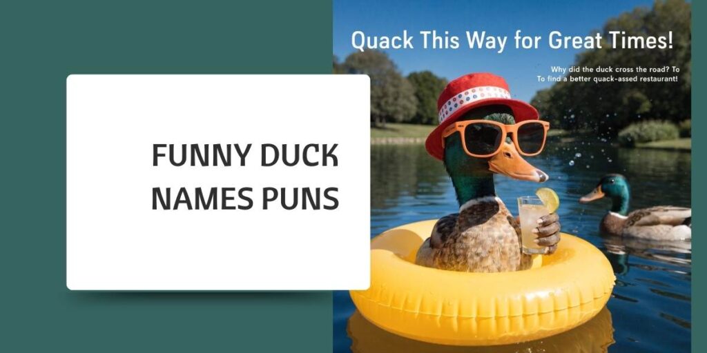 Funny Duck Names Puns
