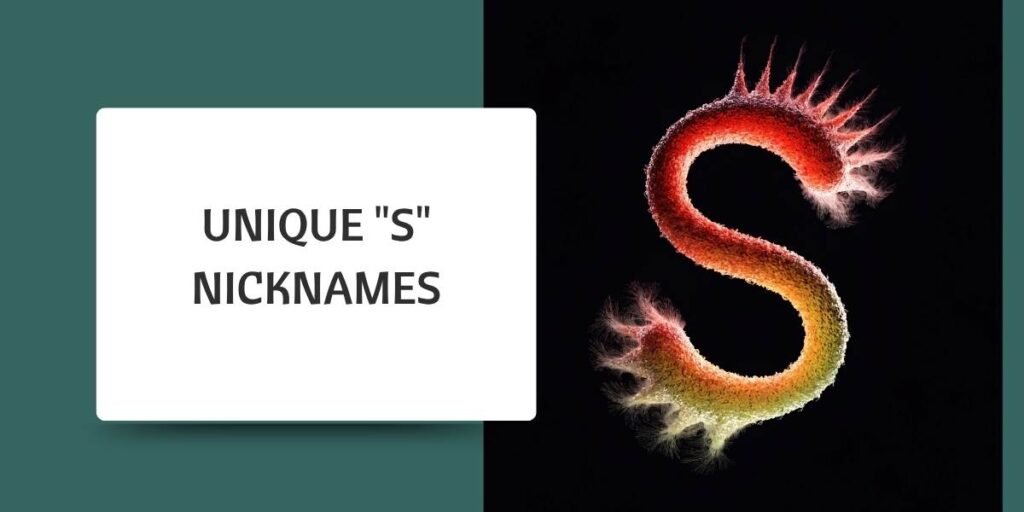 Unique "S" Nicknames