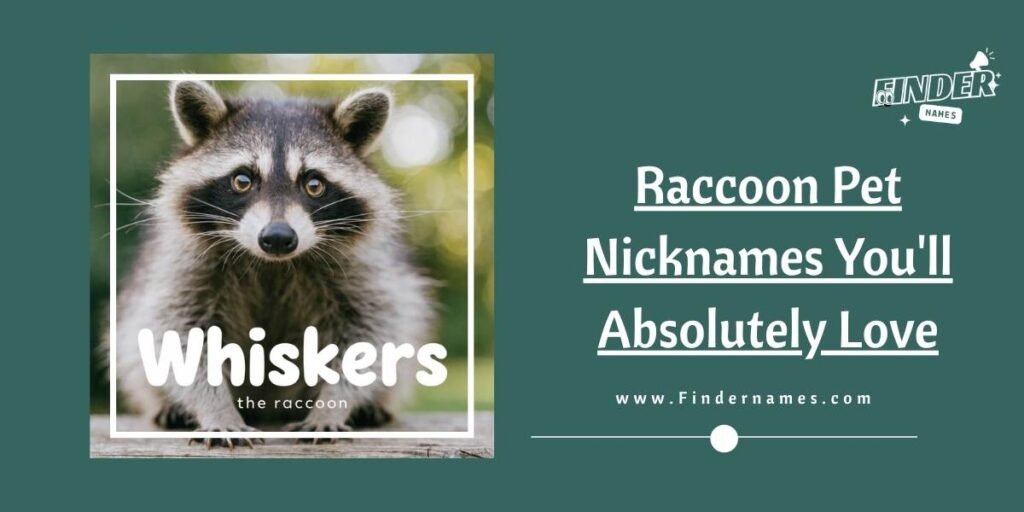 Raccoon Pet Nicknames You'll Absolutely Love