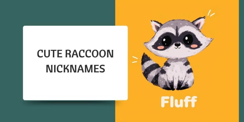 Cute Raccoon Nicknames